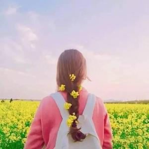 劳拉与马2 ep 2 SWF
