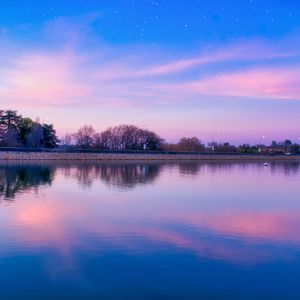 劳拉与马2 ep 2 SWF
